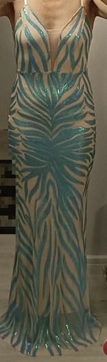 Mesh panel mermaid hem cami sequin dress gown