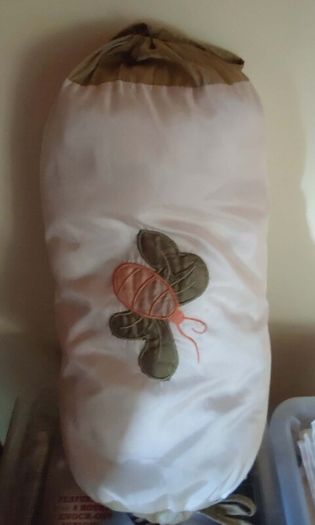 Cushion With A Design On The Front (used).