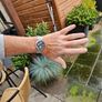 Watch Seiko Chronograph Image 4