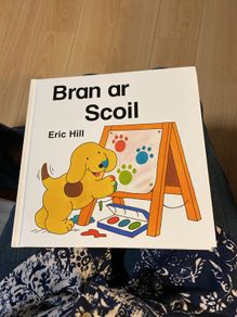Irish language children's book