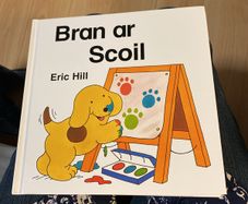 Irish language children's book