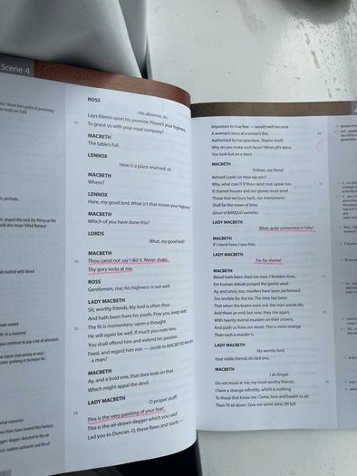 book - leaving cert Macbeth