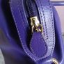 Osprey Handbag Image 3