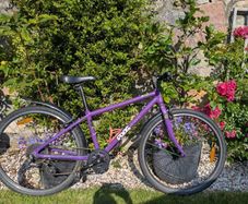frog 69 bike