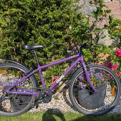 frog 69 bike