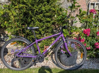 frog 69 bike