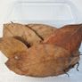 Jack,Maple,Guave,Walnut,Mulberry Leaves ect... 1000ml Image 2