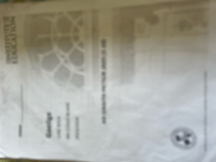 Institute of Education Irish Notes
