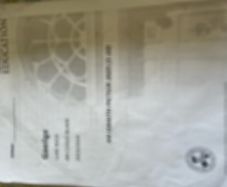 Institute of Education Irish Notes