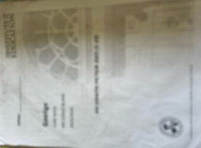 Institute of Education Irish Notes