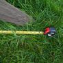wooden swing set Image 4
