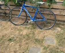 lapierre road bike