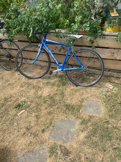 lapierre road bike