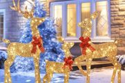 3 Piece 2D Lighted Christmas Deer Family Set
