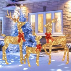 3 Piece 2D Lighted Christmas Deer Family Set