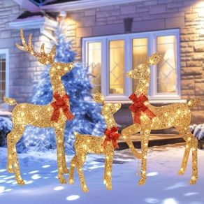 3 Piece 2D Lighted Christmas Deer Family Set