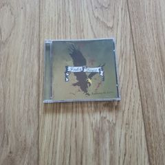 cd forty deuce nothing to lose Richie kotzen
