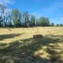 Square bales hay Image 6