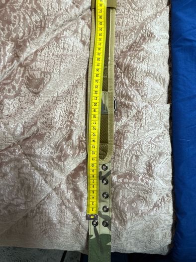 Dog Collar with Handle