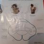 Redcastle Babynomade Unisex Car Seat Blanket 0-6months Image 3