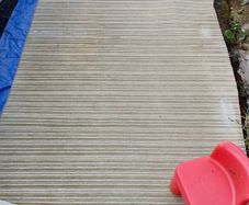 Carpets for Dog