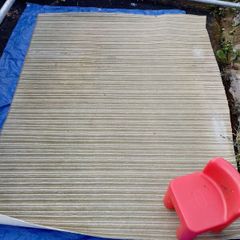 Carpets for Dog