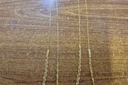 Delicate golden imitation chain