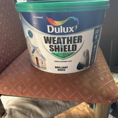 paint weather shield