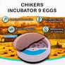 Egg incubator Chicken Incubators for hatching eggs with Automatic Temperature and Humidity Control (9 Eggs) - Chick Brooder - chicken eggs, Duck, Quail eggs, Goose and incubator Box kit (FREE POSTAGE) Image 2