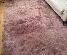 Pink Rug
