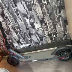 Aovo pro