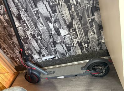 Aovo pro