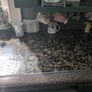 Kitchen cabinets Image 2