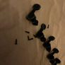 Stratocaster machine heads tuners 6 line electric guitar Jackson esp Ibanez charvel telecaster Fender parts accessories Image 3