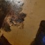 Antique rural scene - oil on canvas painting Image 3