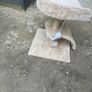 cat tree Image 3