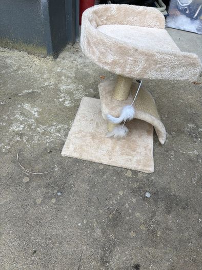cat tree
