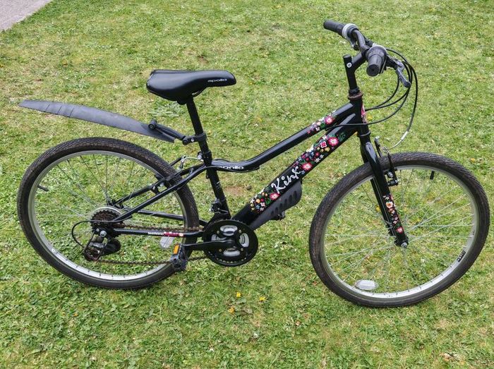 Girls bicycle