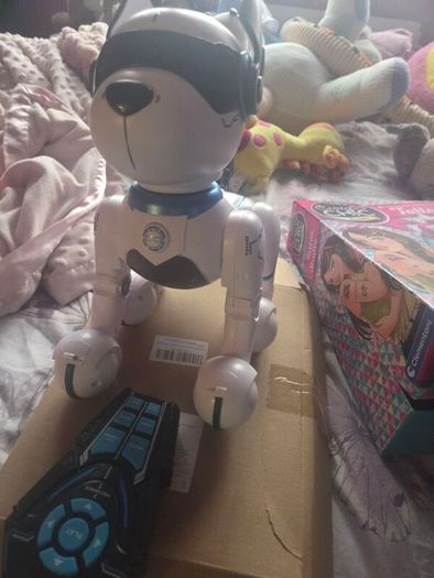 Ziggy the Robo dog