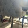 Dining chairs x6 Image 4
