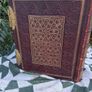 Brown's Self- Interpreting Family Brass bound Bible(Circa 1850) Image 6