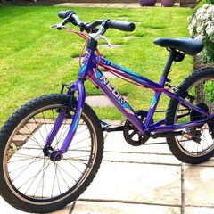 20in Mountain Bike