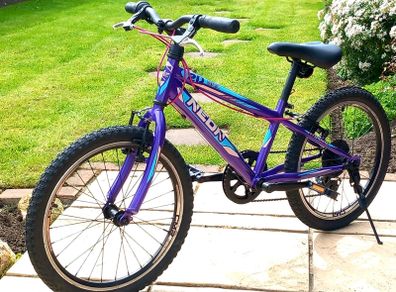 20in Mountain Bike