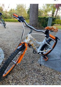 20 inch girls Raleigh bike