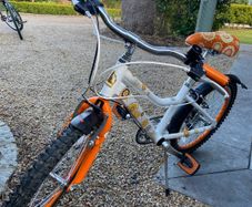 20 inch girls Raleigh bike