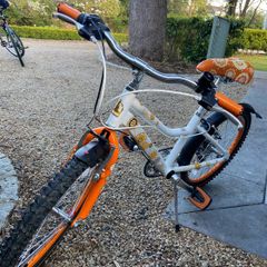 20 inch girls Raleigh bike