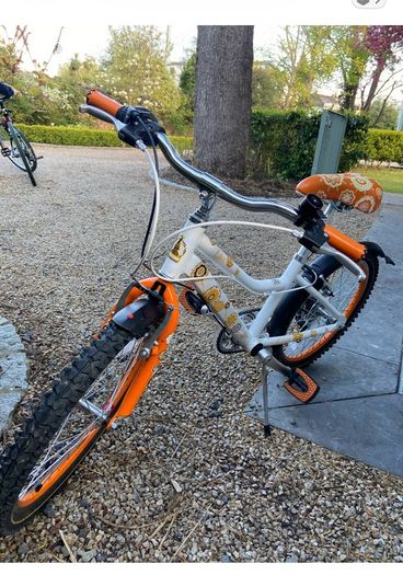 20 inch girls Raleigh bike