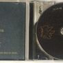 Patrick Freyne & His Bad Intentions [2006] Nobody Ever Dies (CD Album) Image 3