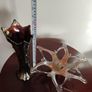 Vintage Carnival glass . Price from 25 euro. Image 6