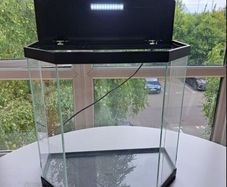 25L Ciano Fish Tank